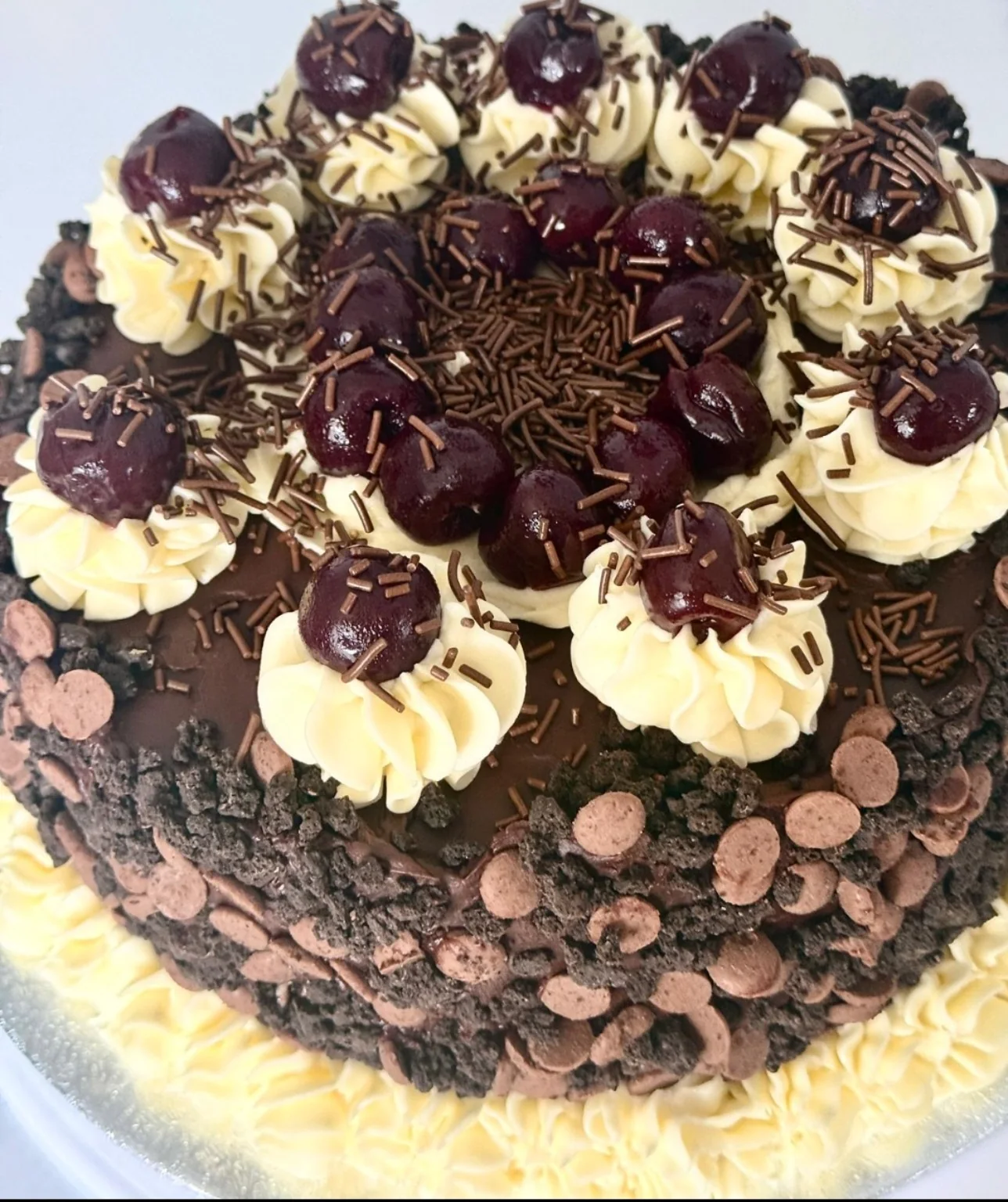 Chocolate celebration cake topped with cherries and piped cream